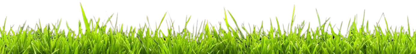 Decorative Image
